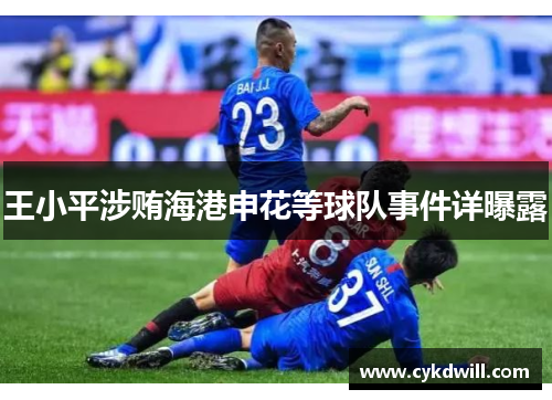 王小平涉贿海港申花等球队事件详曝露
